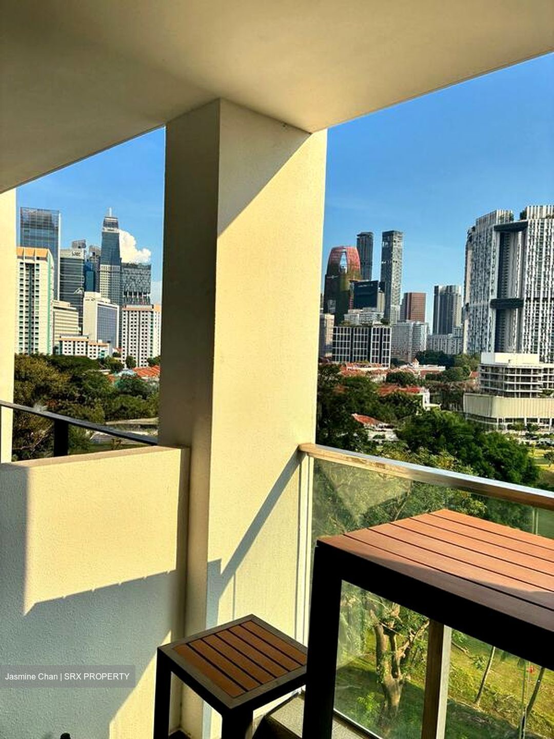 Outram Park (D3), Condominium #531280541